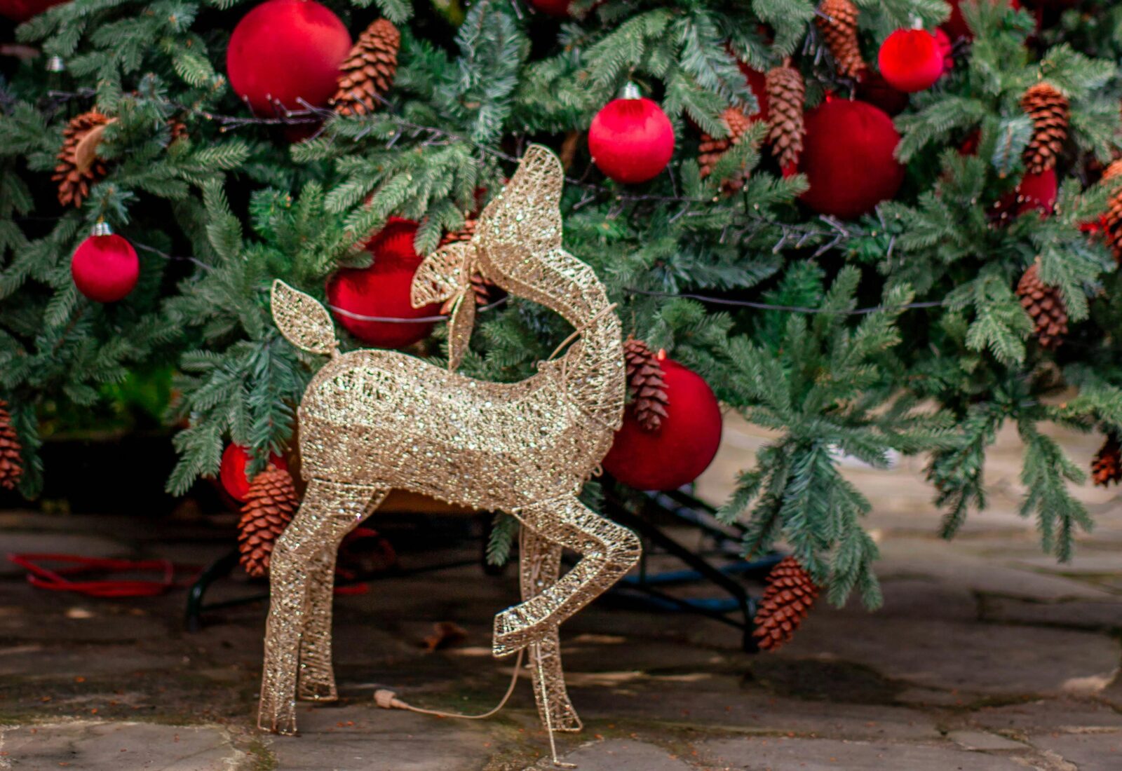 Χριστουγεννιάτικη διακόσμηση – εορταστική ατμόσφαιρα